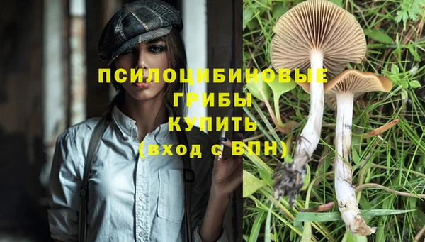 таблы Алзамай