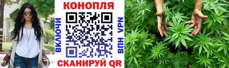 купить наркотики сайты  Приозерск  Конопля OG Kush 